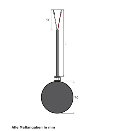 Strahlungsfühler, PVC-Leitung, TMax 70 °C, PT100, 2 Meter